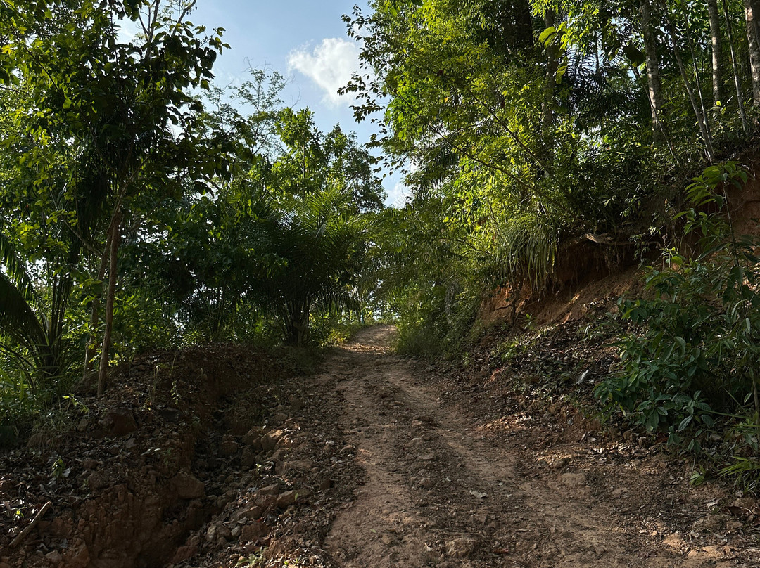 Din Daeng Doi-Nong Thale必去景点