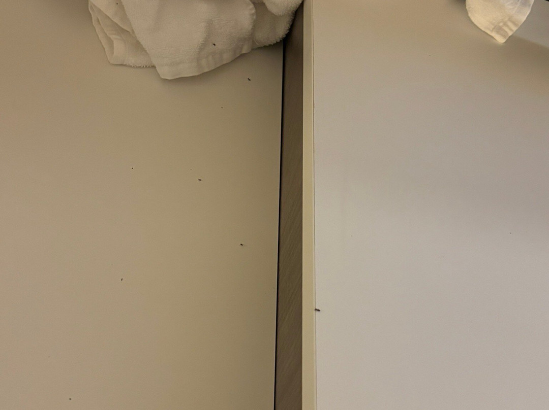 博登镇希尔顿惠庭酒店主图