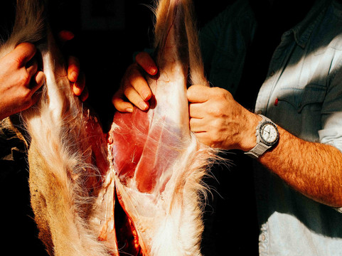 Hunter Gather Cook-刘易斯必去景点