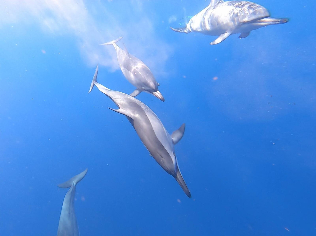 Lifestyle Boating Mauritius-贝尔欧布莱必去景点