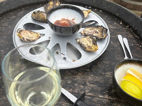 Oyster Bay Tours-科尔斯湾必去景点