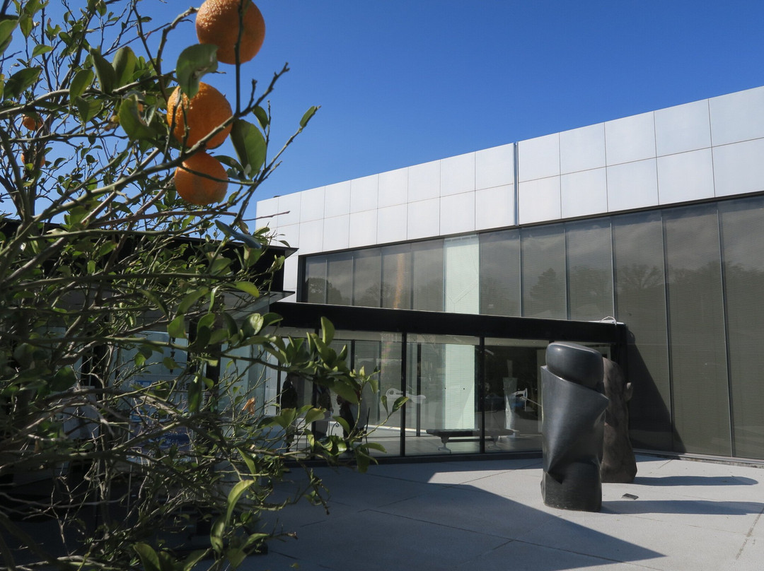 Ikeda museum of 20th century art-伊东市必去景点