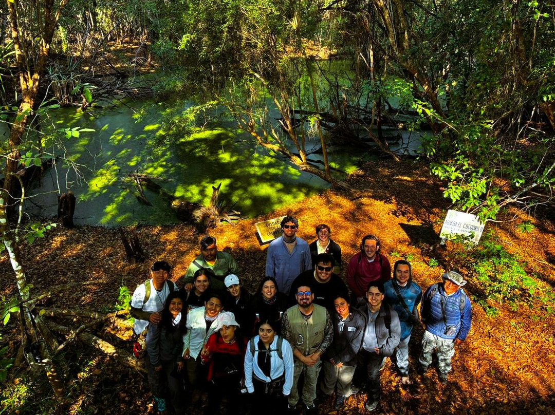 Calakmul y Selva Tours-卡拉克穆尔必去景点