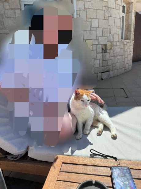 艾利乌斯酒店&温泉-官方