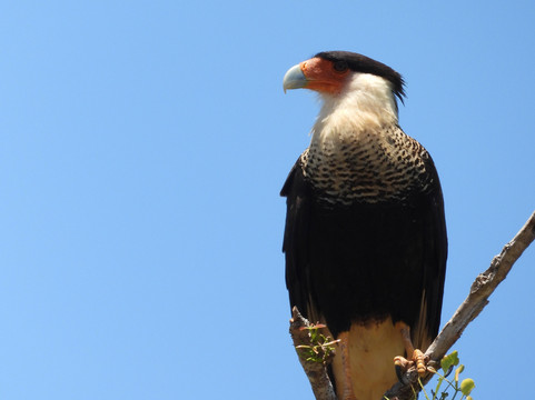 0S3 Private Tours-哈科必去景点