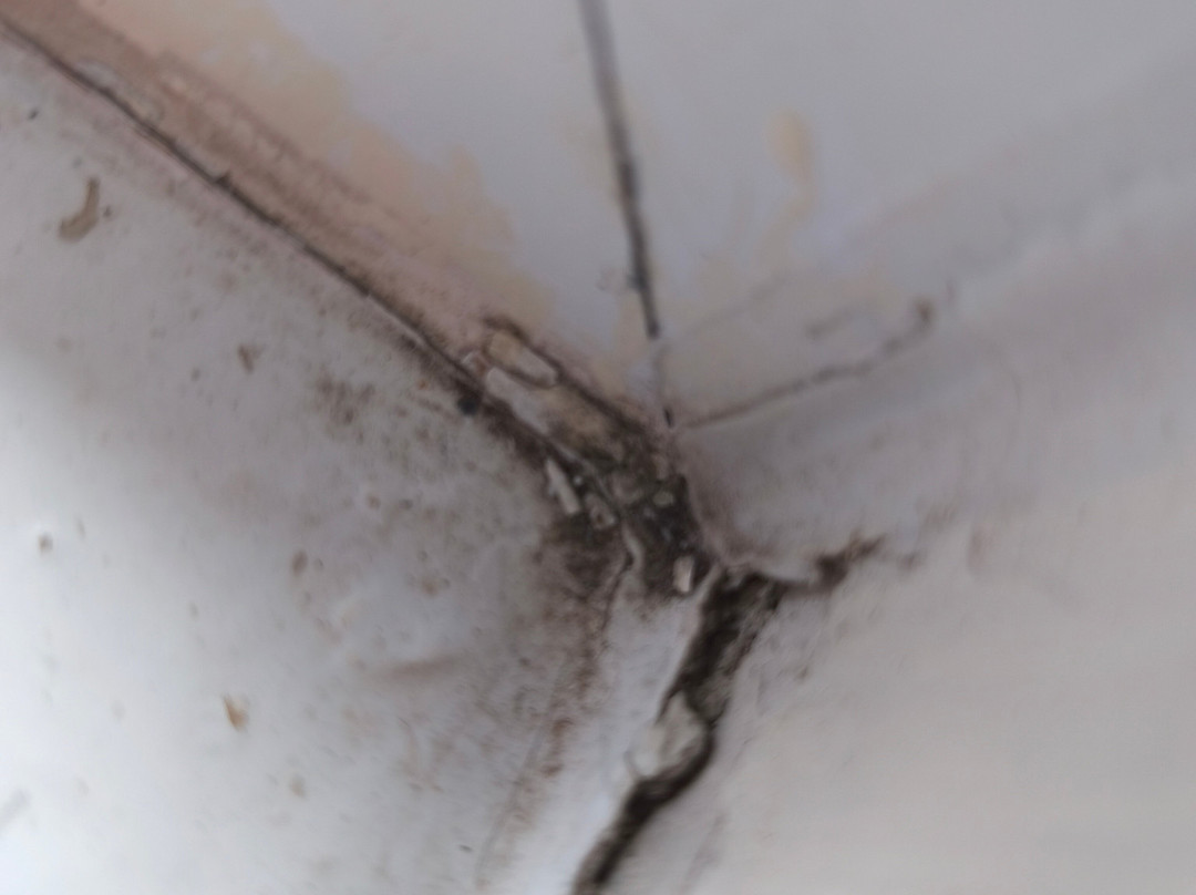 邓巴顿旅客之家酒店主图