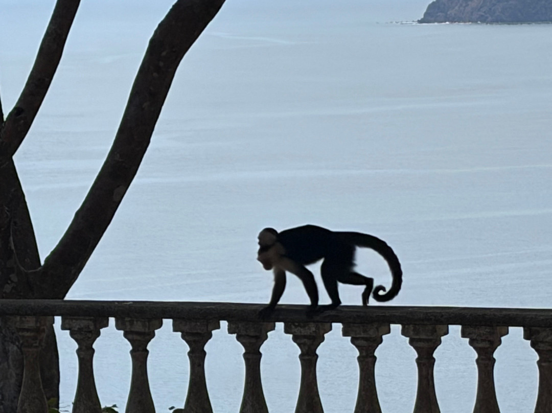 El Miro-哈科必去景点