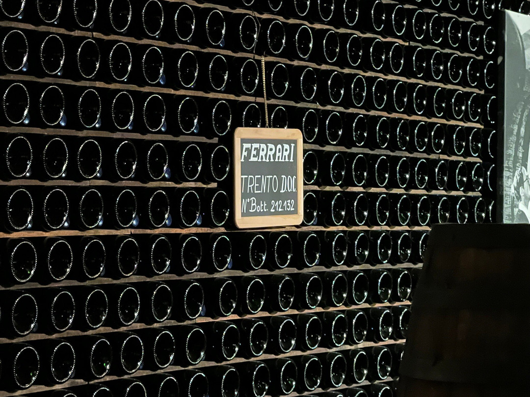 Cantine Ferrari F.lli Lunelli-特伦托必去景点