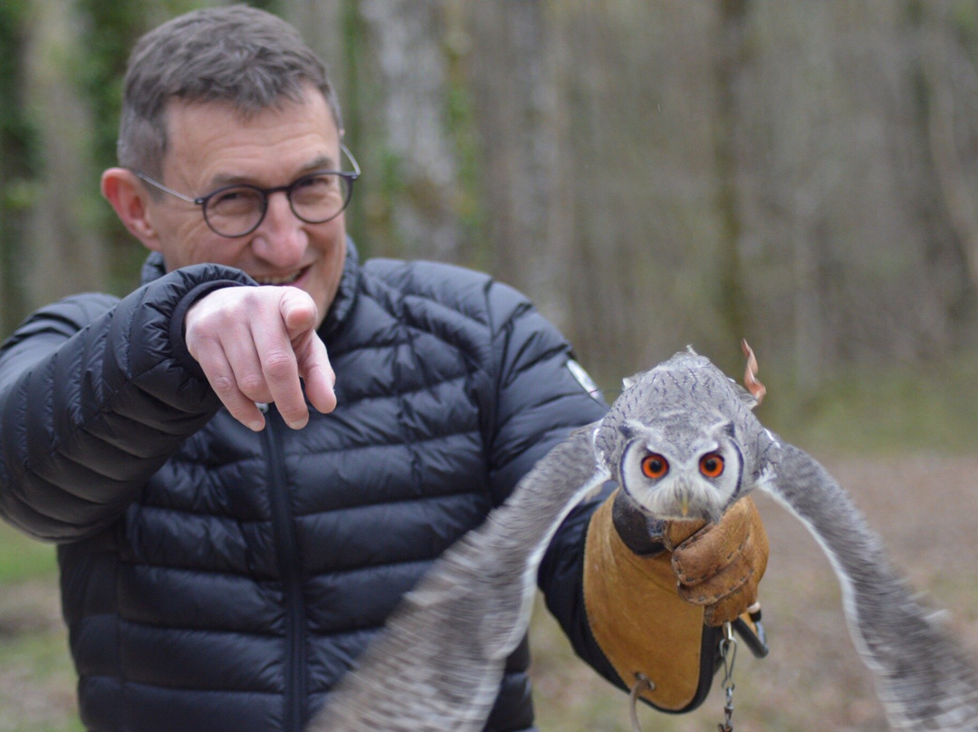 Mon Perroquet & Cie-Montrichard必去景点
