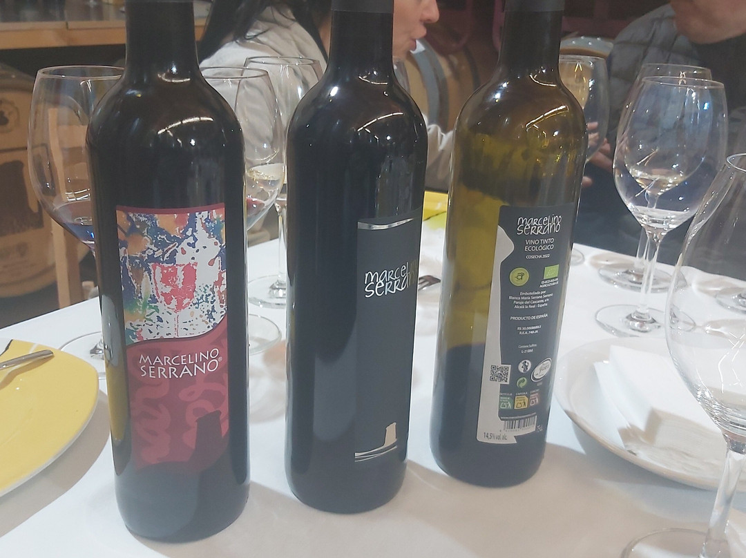 Viñedos & Bodega Marcelino Serrano-Alcala la Real必去景点