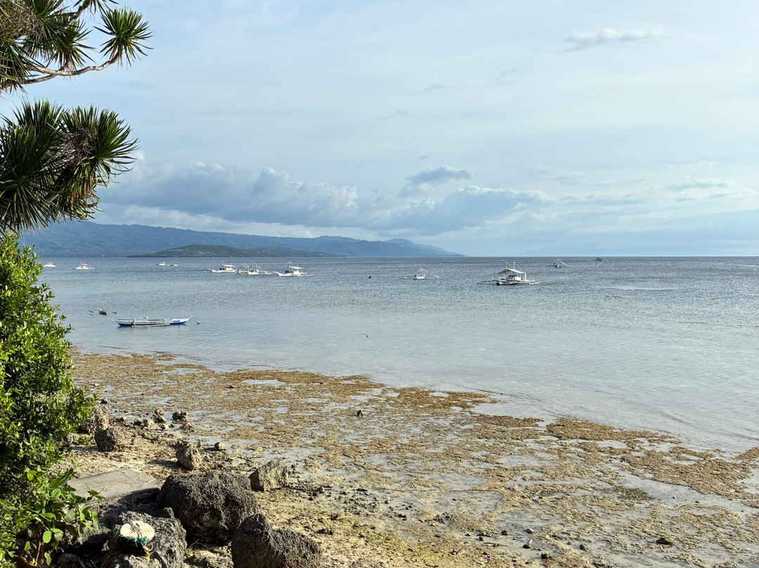 Panagsama Beach-莫阿尔博阿尔必去景点