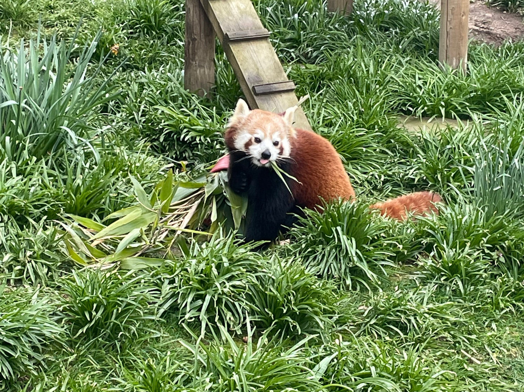 Thrigby Hall Wildlife Gardens-Filby必去景点