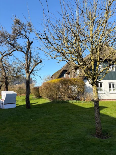 加尼莱克麦斯霍夫酒店-官方