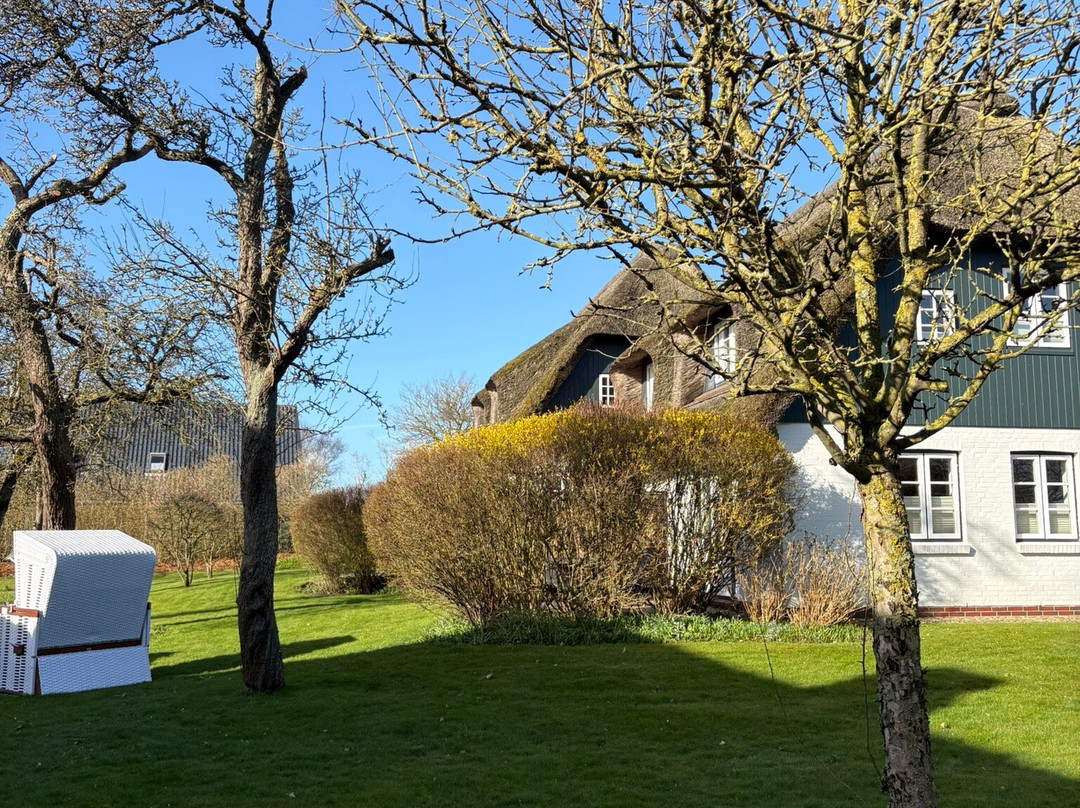 加尼莱克麦斯霍夫酒店主图