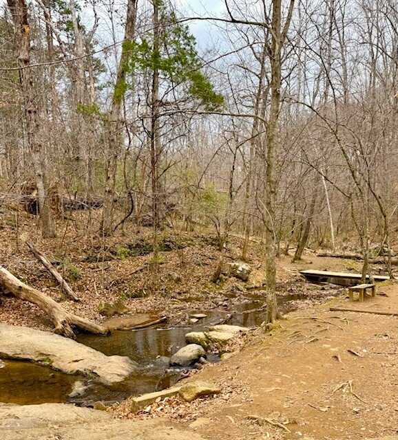 Ivy Creek Natural Area-夏洛茨维尔必去景点