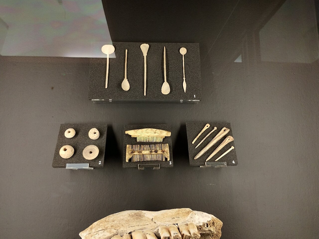 Swansea Museum-斯温西必去景点