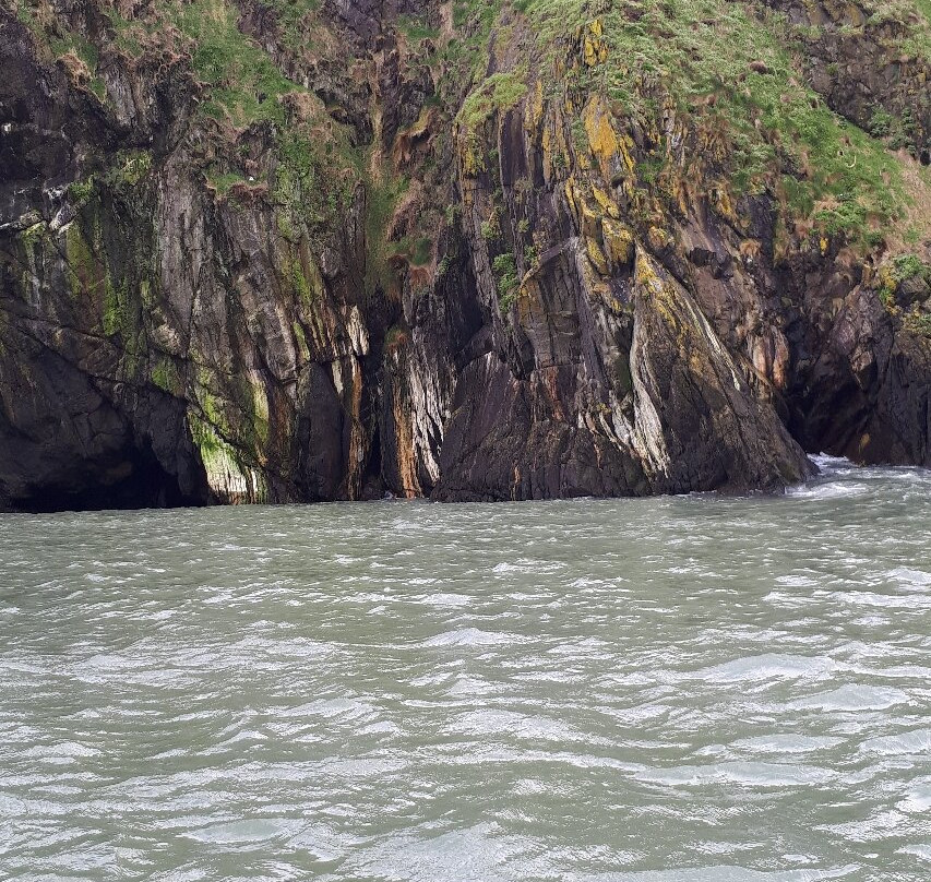 A Bay To Remember Wildlife Boat Trips-St. Dogmaels必去景点