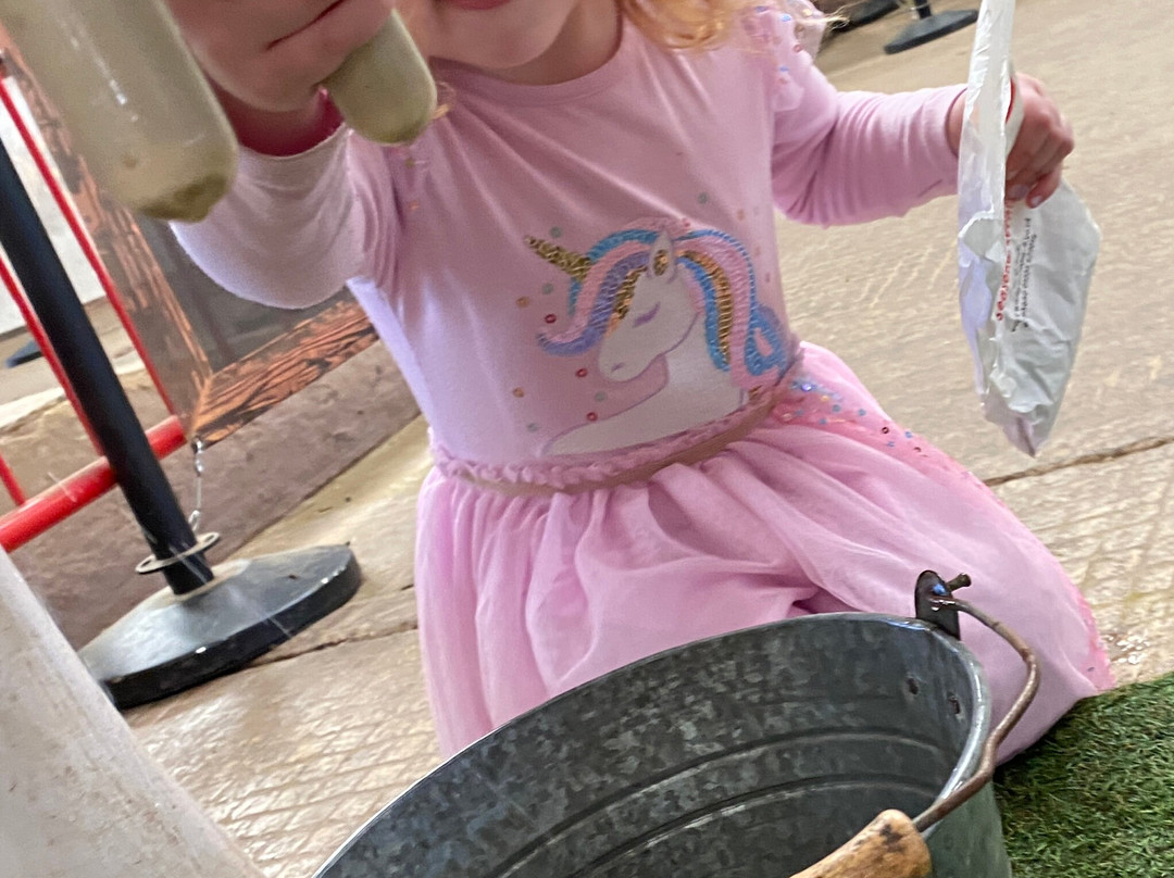 Walby Farm Park-Crosby on Eden必去景点