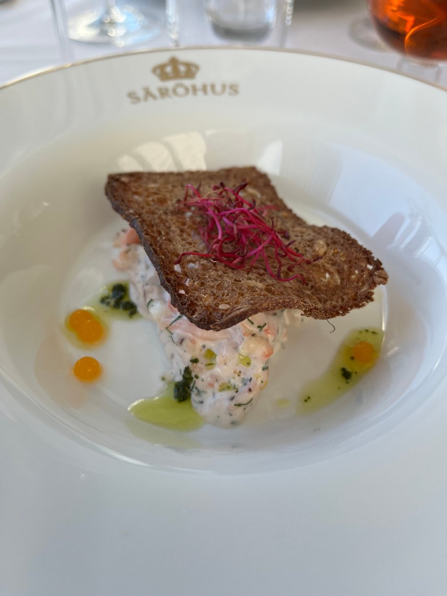 萨罗酒店及会议中心-官方