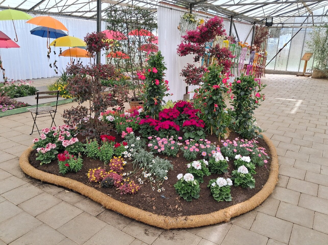 Floralia - Spring Flower Show-古鲁特－北臼阿登必去景点