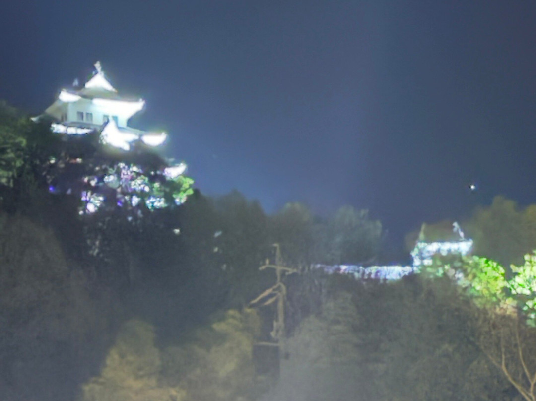 Gujo Hachiman Castle-郡上市必去景点
