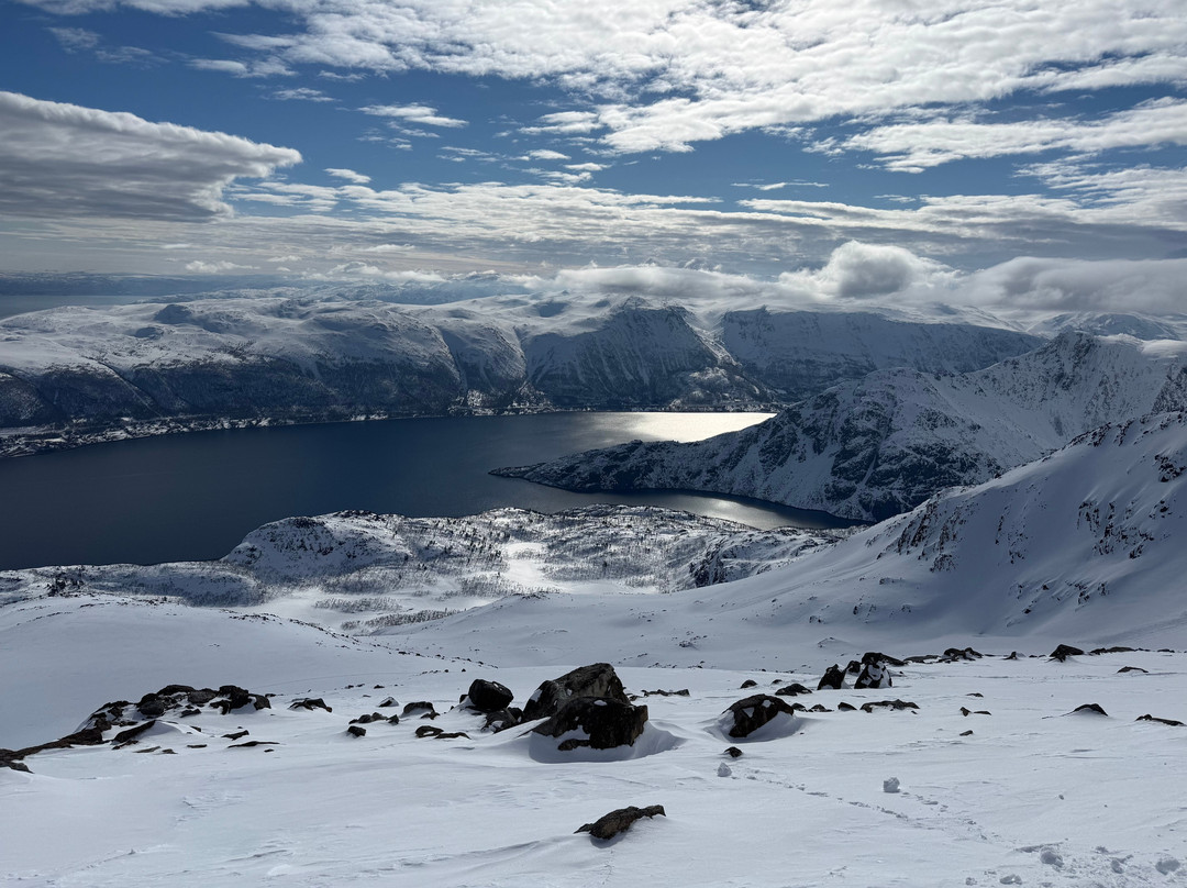 Jolly Good Times Sailing-奥勒松必去景点