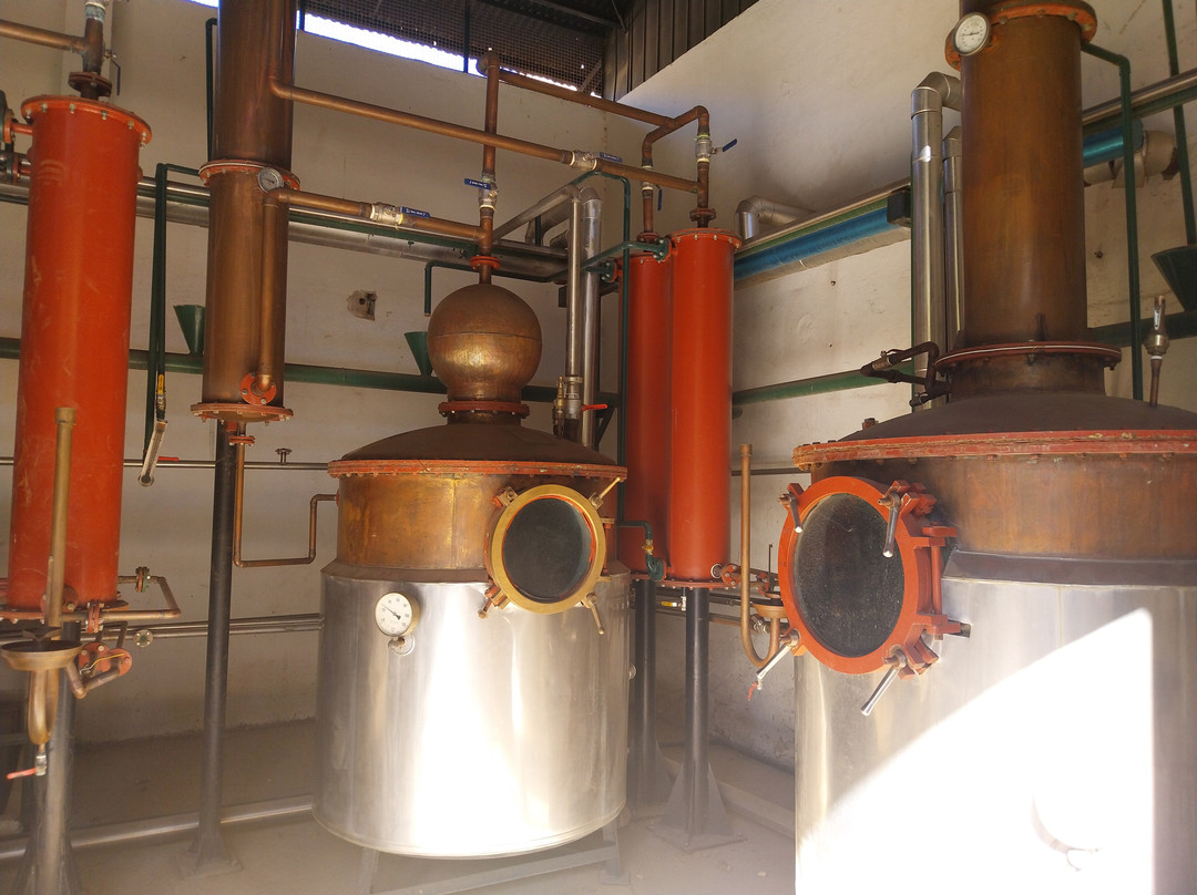 Destileria Pisco Mistral-Pisco Elqui必去景点