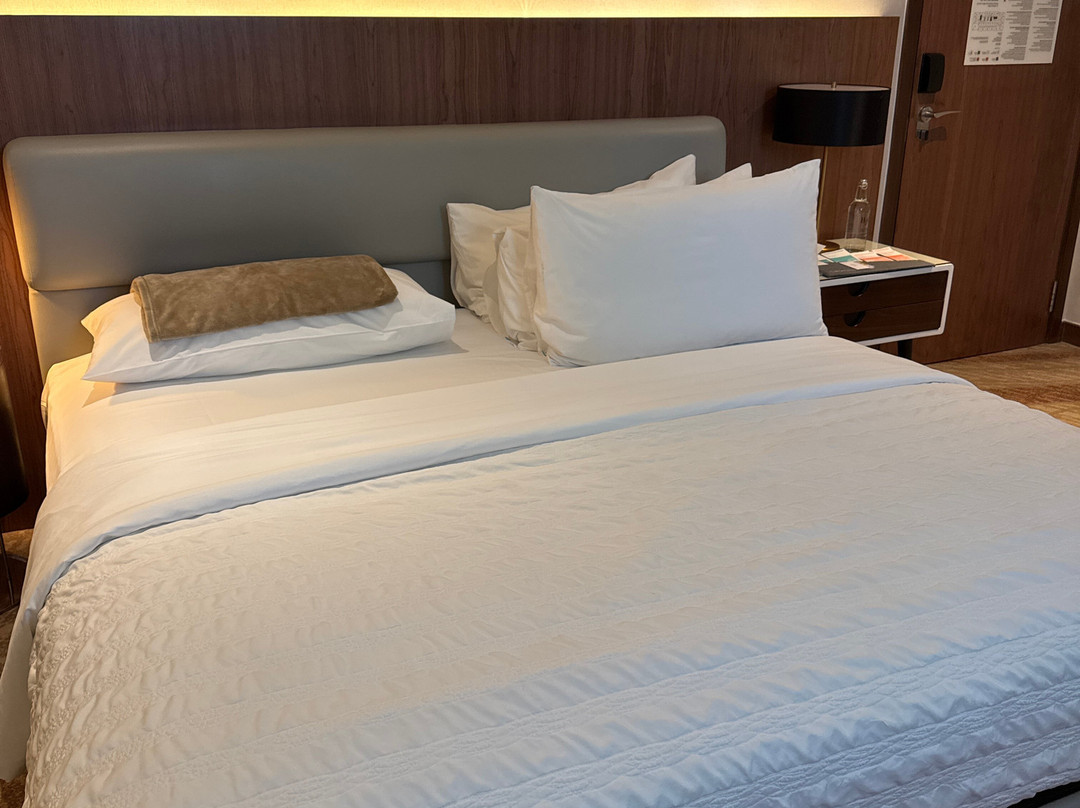 布特拉再也艾美酒店主图