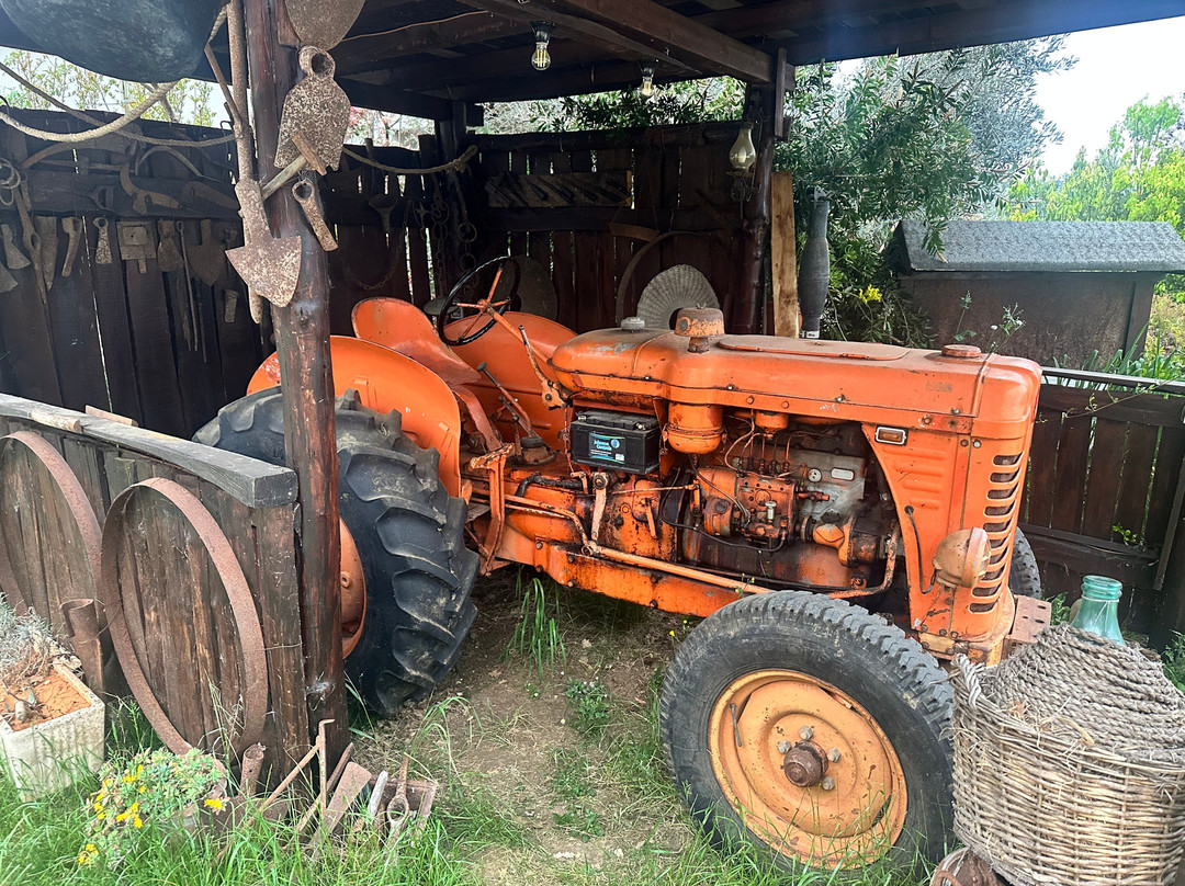 Fattoria Didattica Marilù-Veroli必去景点