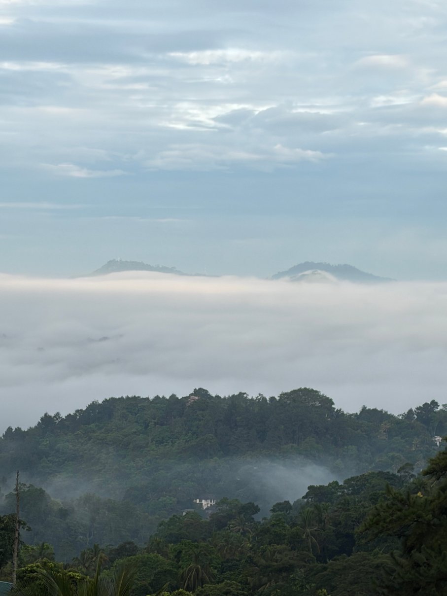 梅尔海姆康提别墅酒店-酒店景观