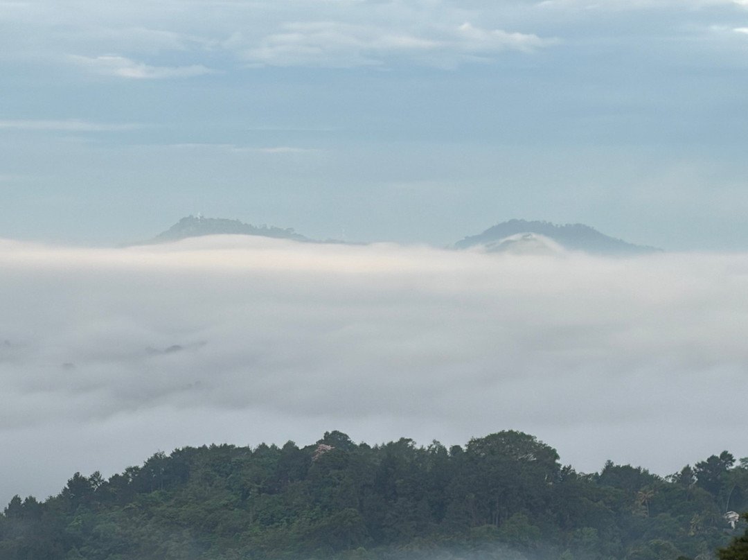 梅尔海姆康提别墅酒店主图