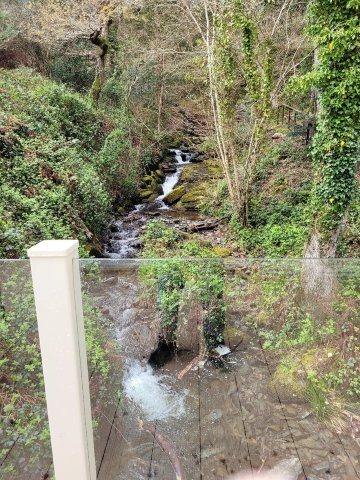 Aberdunant Hall Holiday Park-旅行者