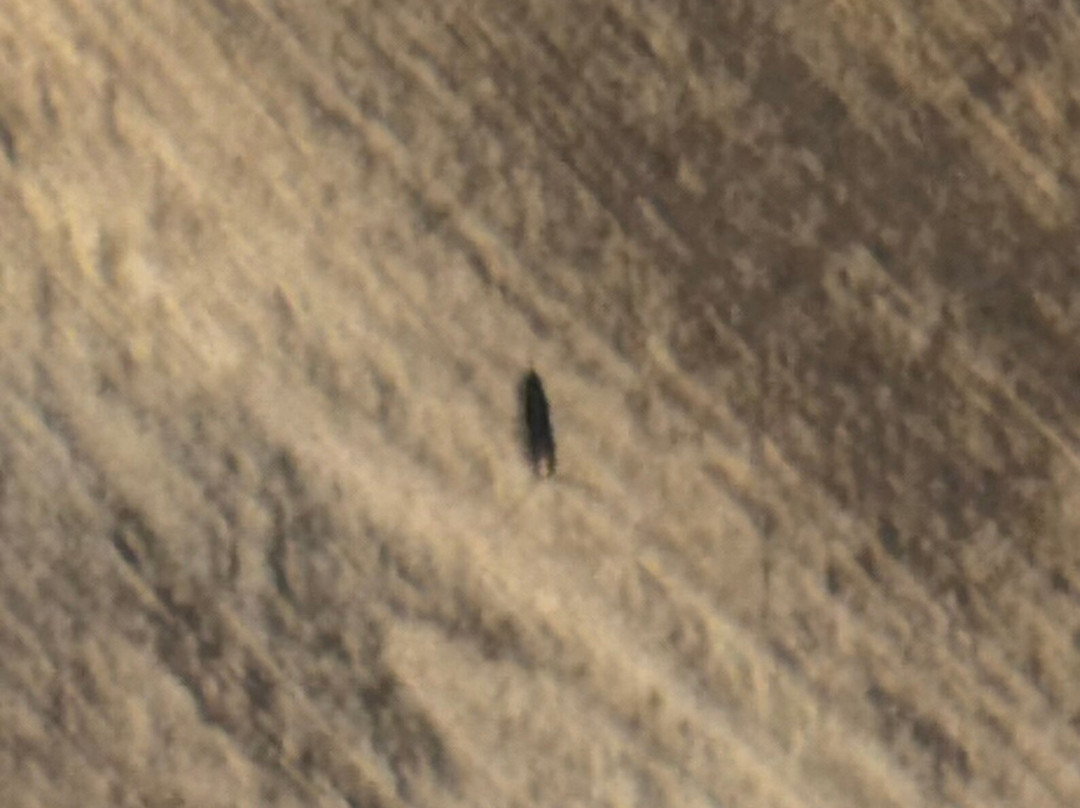 Sømna Kro & Gjestegård主图