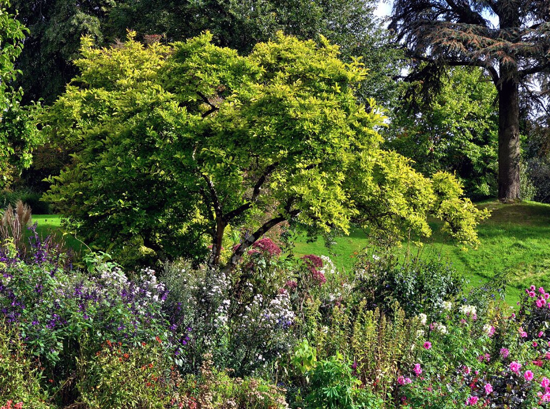 Forde Abbey & Gardens-Chard必去景点