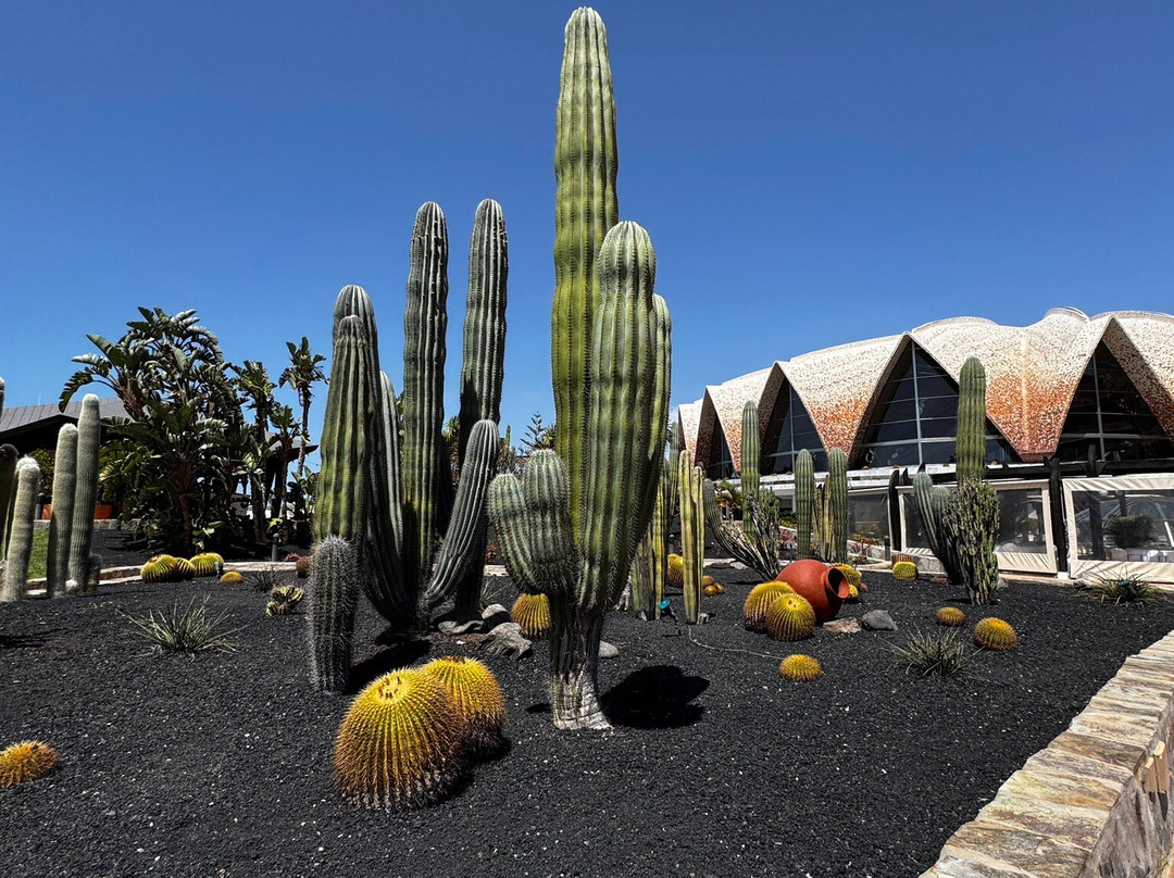 H10普拉亚梅洛内拉斯地平线精选酒店主图