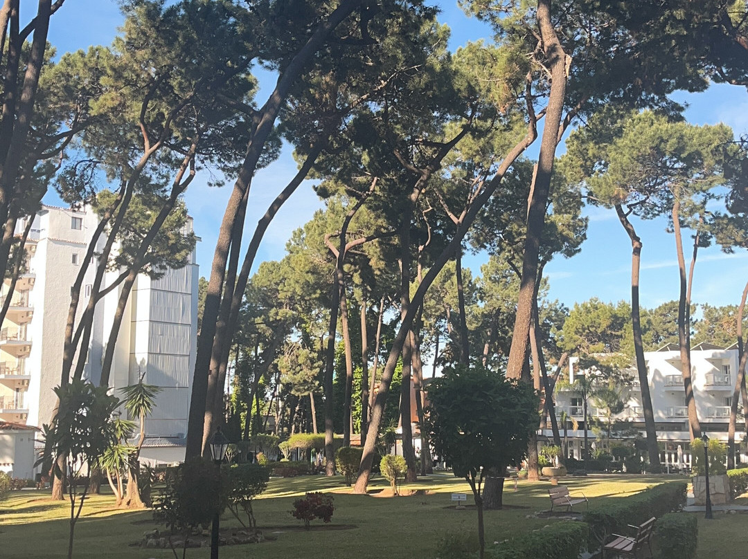 AluaSun Marbella Park主图