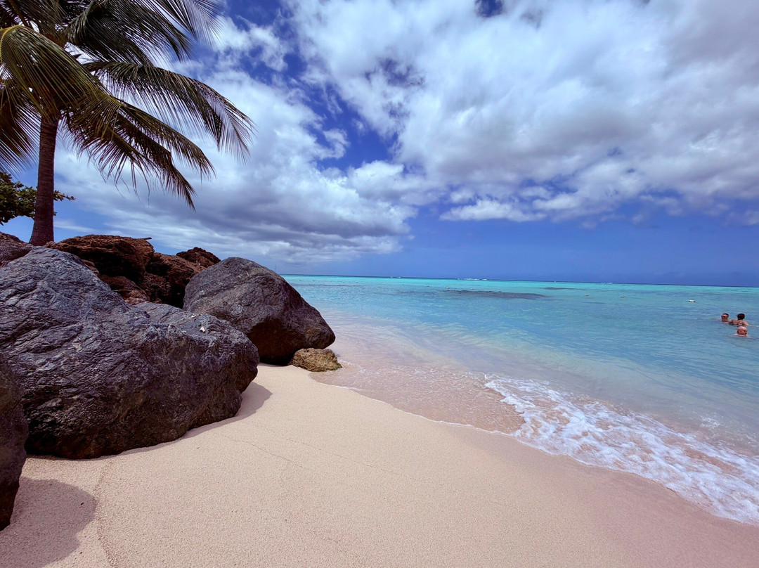 Pigeon Point Beach-多巴哥必去景点