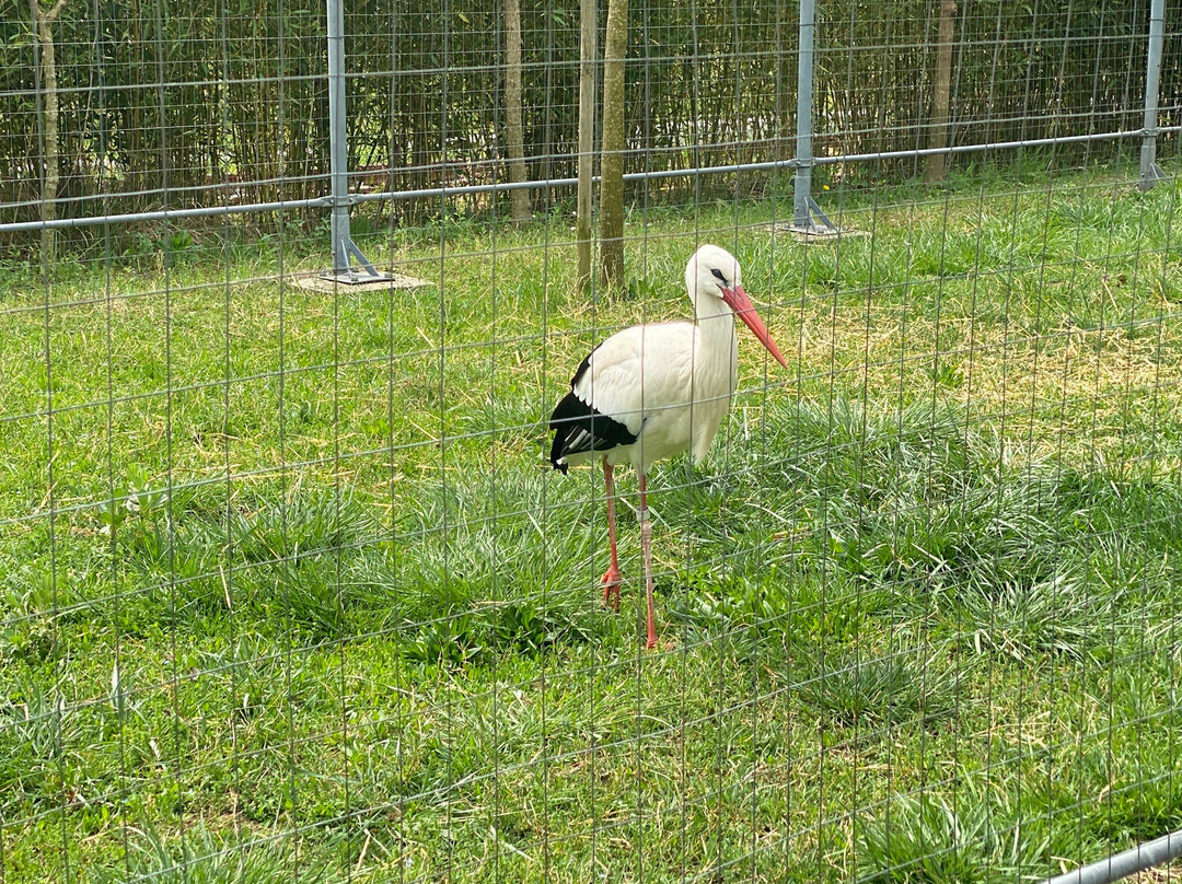 Parco Acrobati del Sole-Cividale del Friuli必去景点