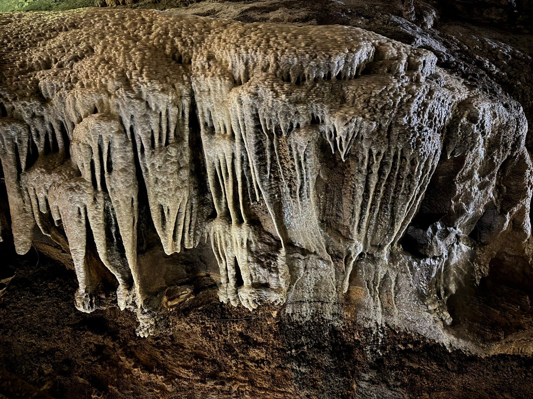 Ingleborough Cave-Clapham必去景点
