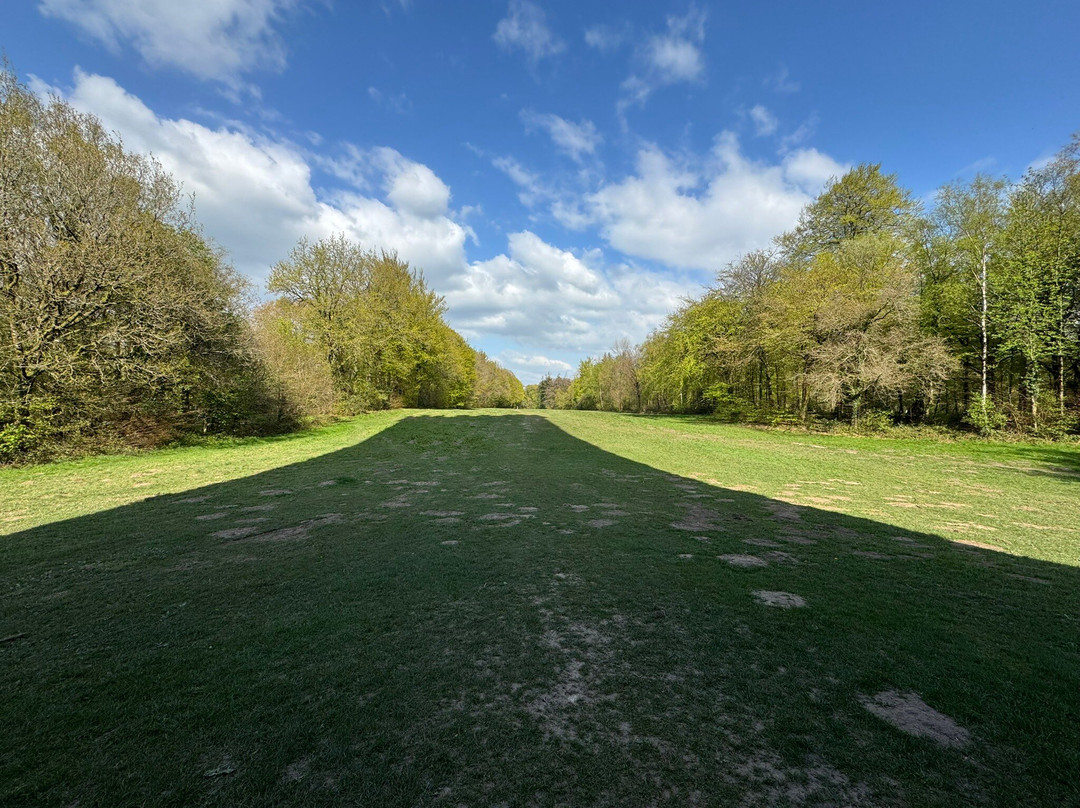 King Alfred's Tower-Bruton必去景点