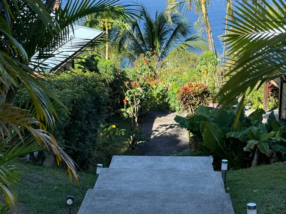 Villa Rose Caraibes主图