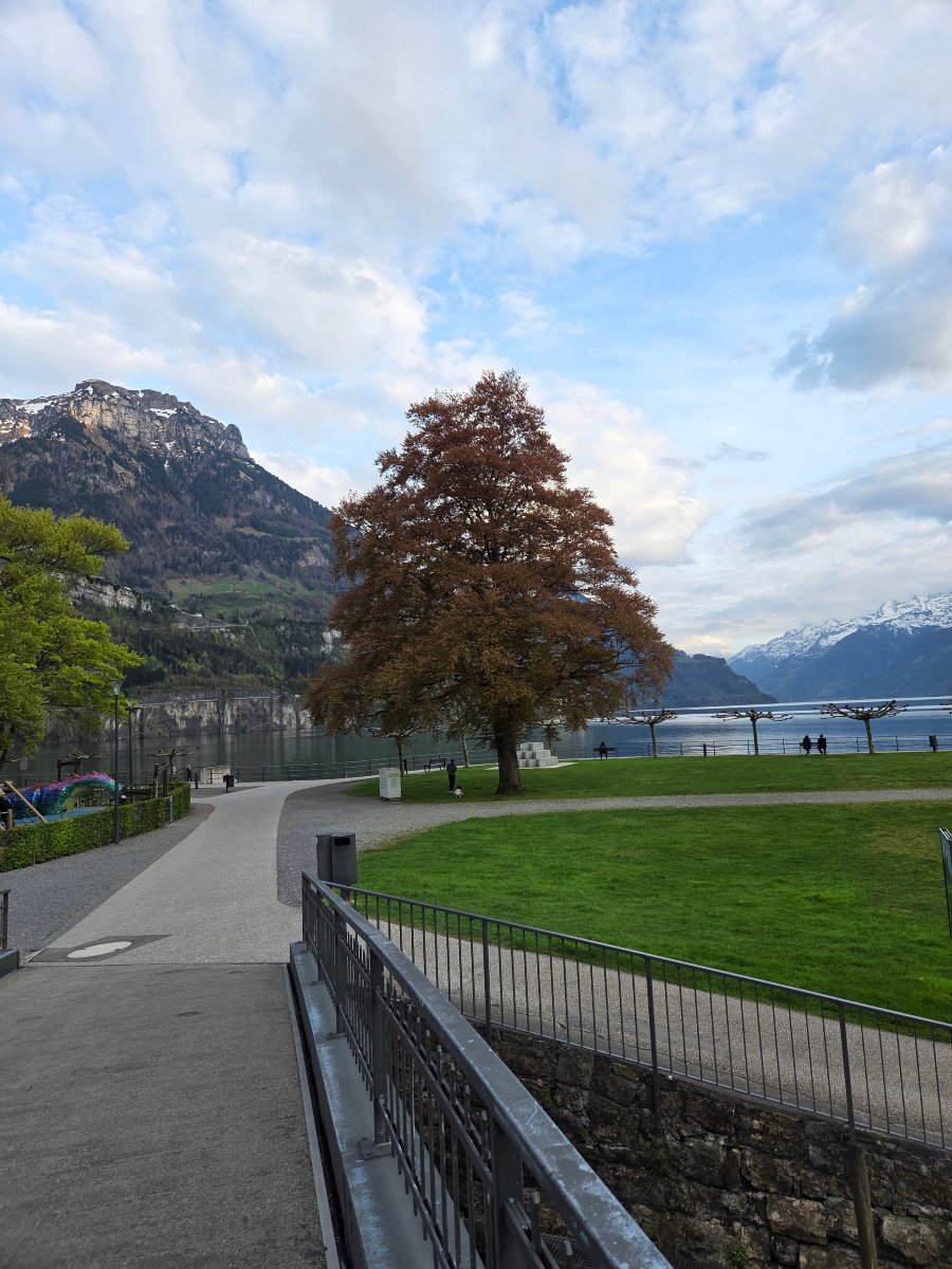 Hotel Wysses Rossli-旅行者