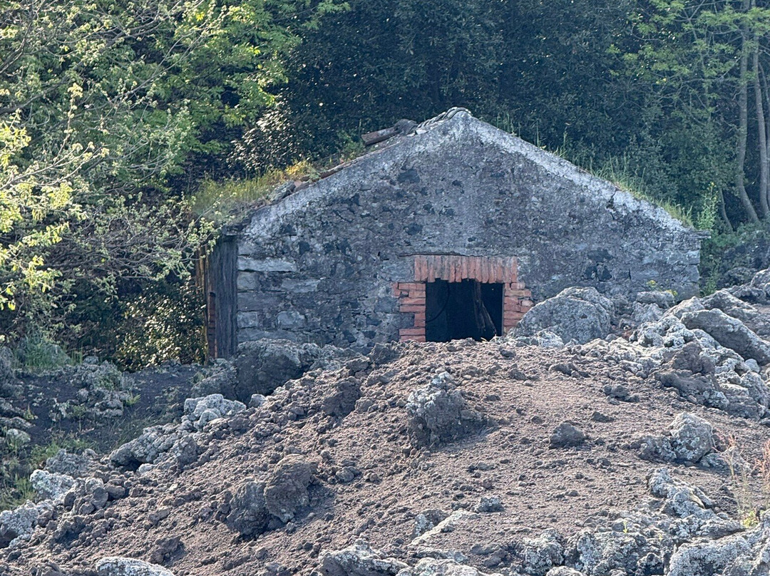 Etna and Sea Excursion-卡塔尼亚必去景点