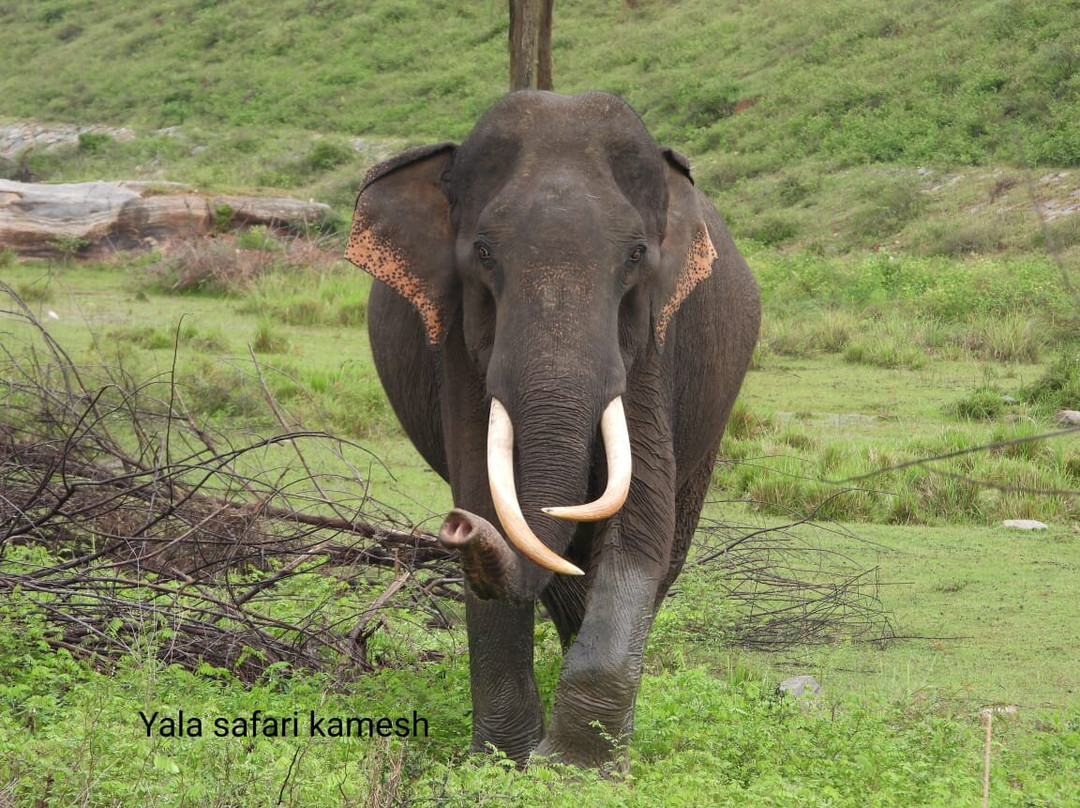 Nihar Srilanka Tours & Travels-Meemure必去景点