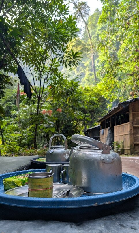 Sumatra Jungle Trek In!-武吉拉旺必去景点