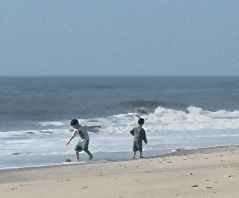Assateague Island NS-VA Unit-Chincoteague必去景点