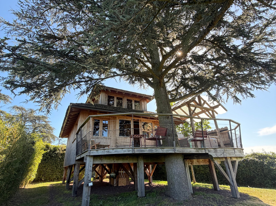 Domaine des Grands Cèdres主图