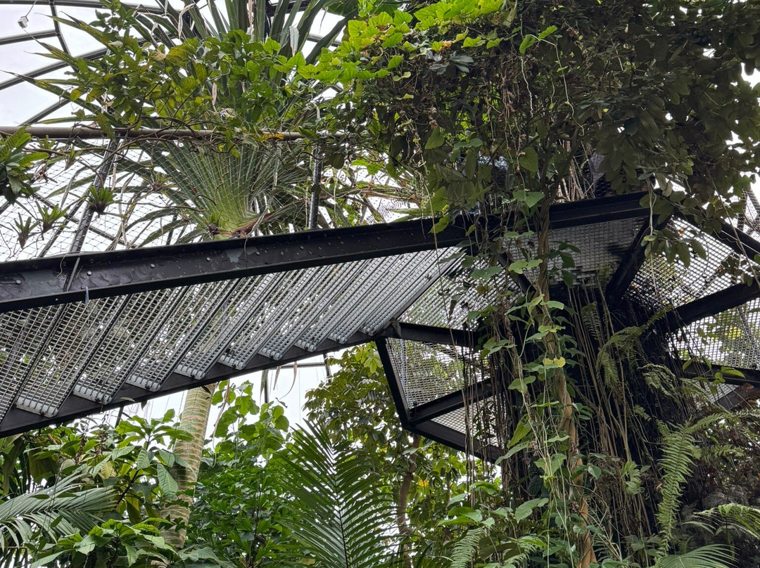 Botanical Garden-苏黎世必去景点
