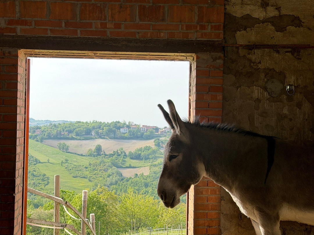 La Collina dei Ciuchini-Vernasca必去景点