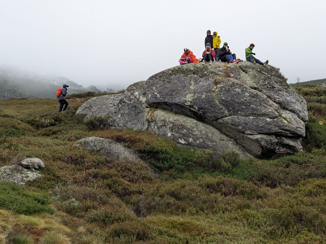 Sapphire Coast Guiding Co.-Pambula必去景点